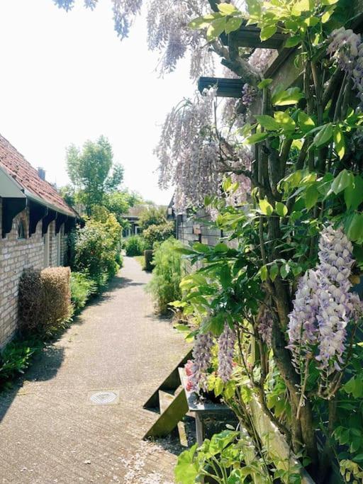 Uniek Vakantieverblijf Den Burg Esterno foto